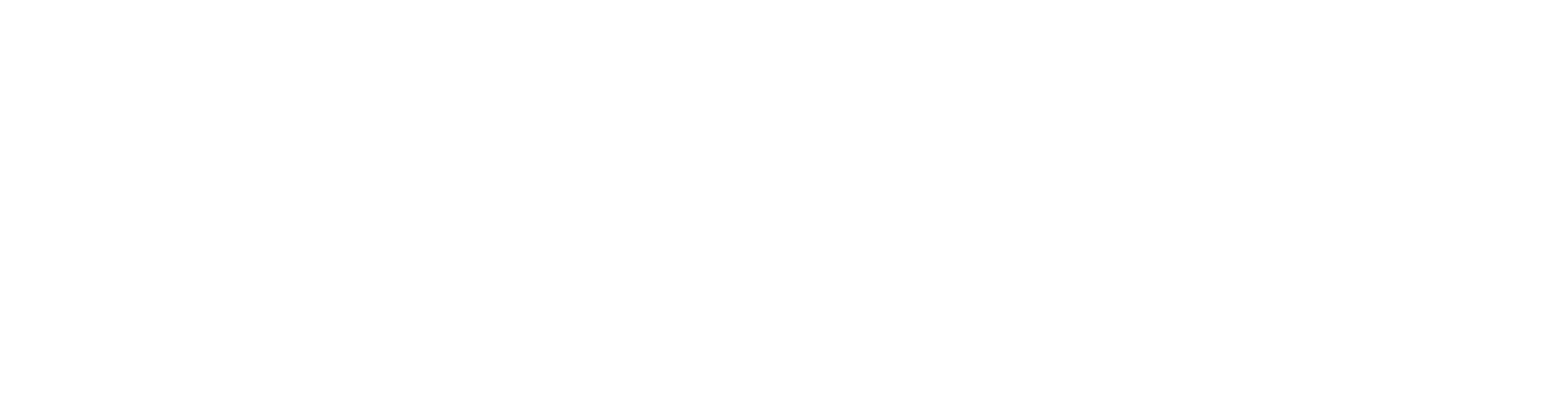 Unleashed Brands